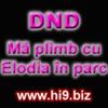 Avatare (137)