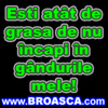 Avatare (168)