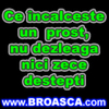 Avatare (178)