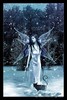 The_Winter_Faery_by_luciferous_glow[1]
