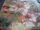 DSCN3547
