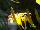 100_2398