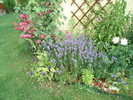 DSC08170