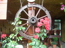 DSC08175