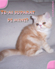 te-ai suparat pe mine?