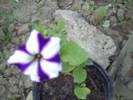 PICT0001
