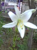 PICT0003