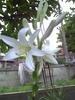 PICT0004