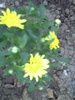 PICT0006