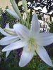 PICT0026
