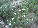 PICT0121