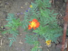 PICT0083