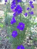 PICT0025