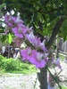 PICT0016