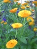 PICT0017