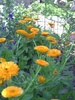 PICT0018