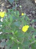 PICT0019