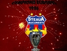 file steaua