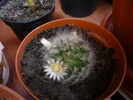 P1040445