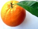portocala1