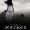 The_Twilight_Saga_New_Moon_1241027787_3_2009