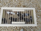 DSCN1114