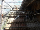 DSCN1175
