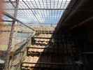 DSCN1176