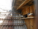 DSCN1177