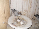 DSCN1179
