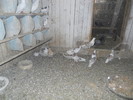 DSCN1186