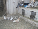 DSCN1187