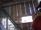 DSCN1188