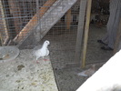 DSCN1190