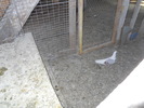 DSCN1192