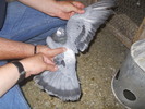DSCN1196