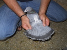 DSCN1197