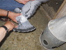 DSCN1198