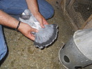 DSCN1199
