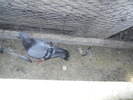 DSCN1201