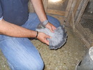 DSCN1203