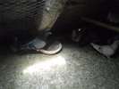 DSCN1205