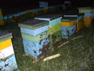 DSCF2474