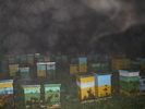 DSCF2475