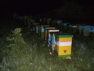 DSCF2478
