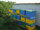 DSCF2527