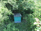 DSCF2528