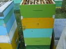DSCF2544