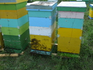 DSCF2552