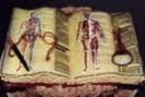 tort carte